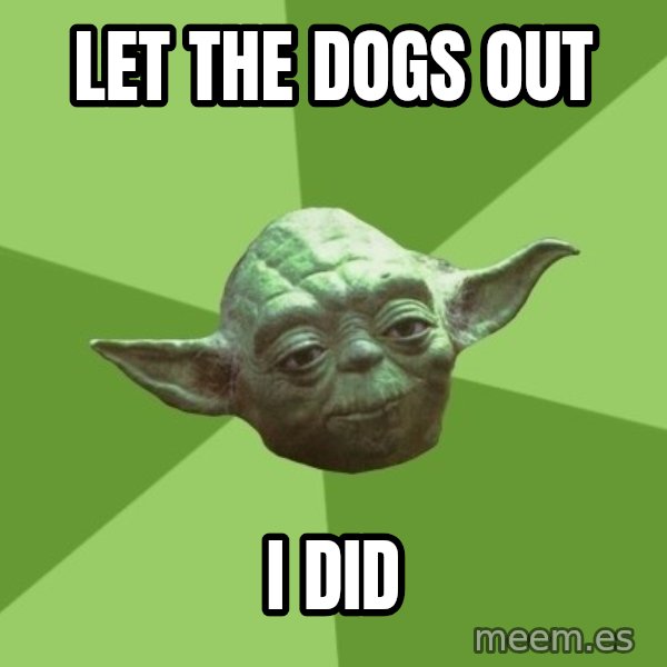 Advice Yoda Gives meme: Let the dogs out / I did