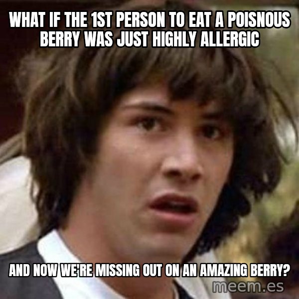 Conspiracy Keanu meme: What if the 1st person to eat a poisnous berry was just highly allergic / and now we're missing out on an amazing berry?