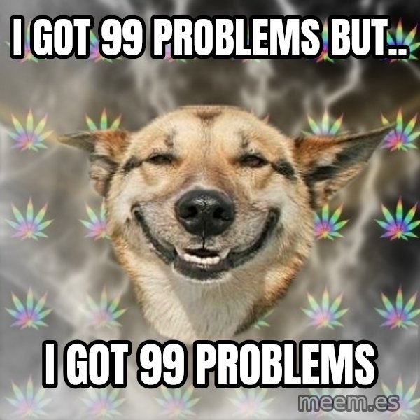 Stoner Dog meme: I got 99 problems but.. / i got 99 problems