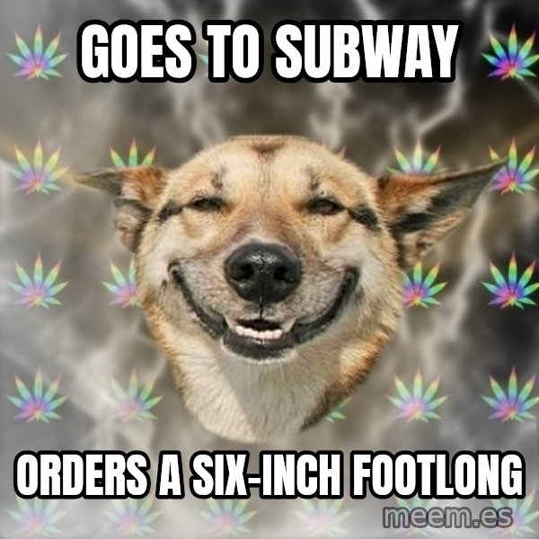 Stoner Dog meme: goes to subway / orders a six-inch footlong