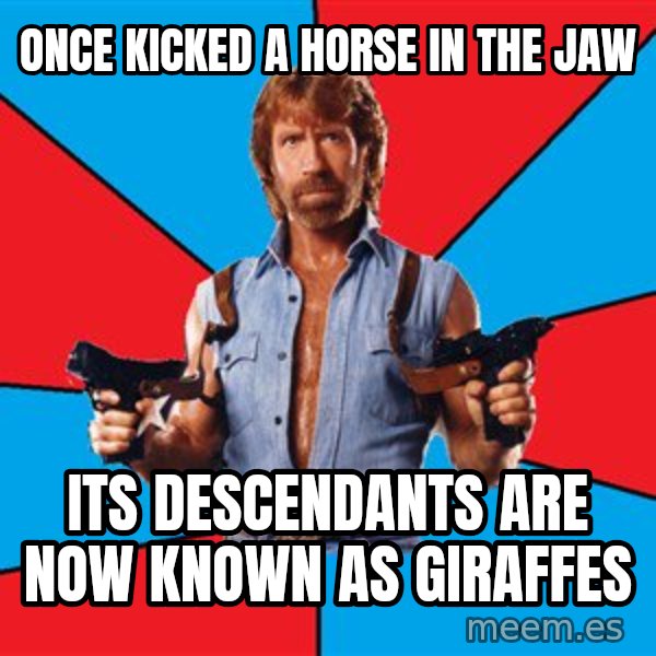 Chuck Norris  meme: Once kicked a horse in the jaw / its descendants are now known as giraffes
