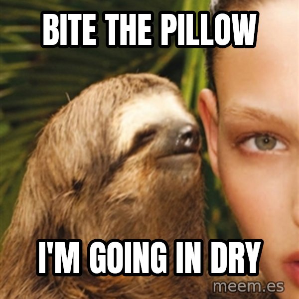 The Rape Sloth meme: bite the pillow / i'm going in dry