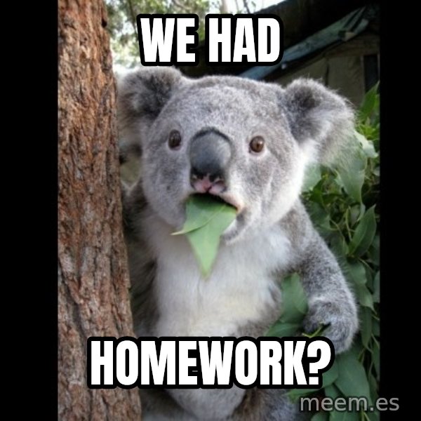 Koala can't believe it meme: we had / homework?