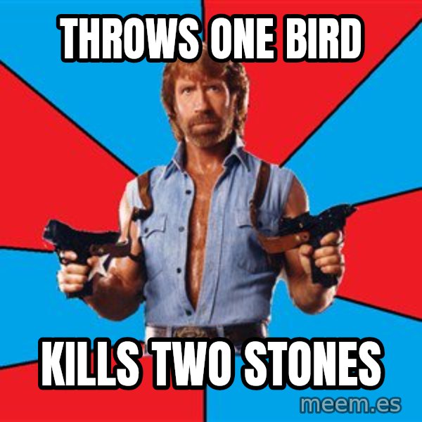 Chuck Norris  meme: throws one bird / kills two stones