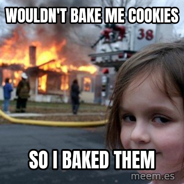 Disaster Girl meme: wouldn't bake me cookies / so i baked them