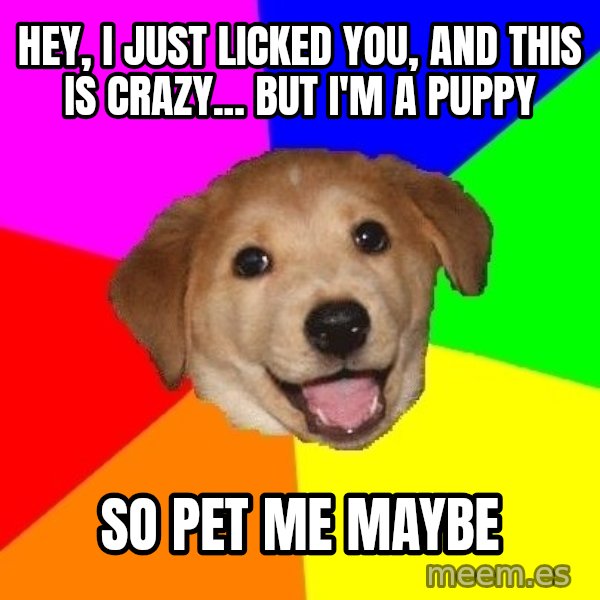 Advice Dog meme: Hey, I just licked you, and this is Crazy... But I'm a Puppy / So Pet me maybe