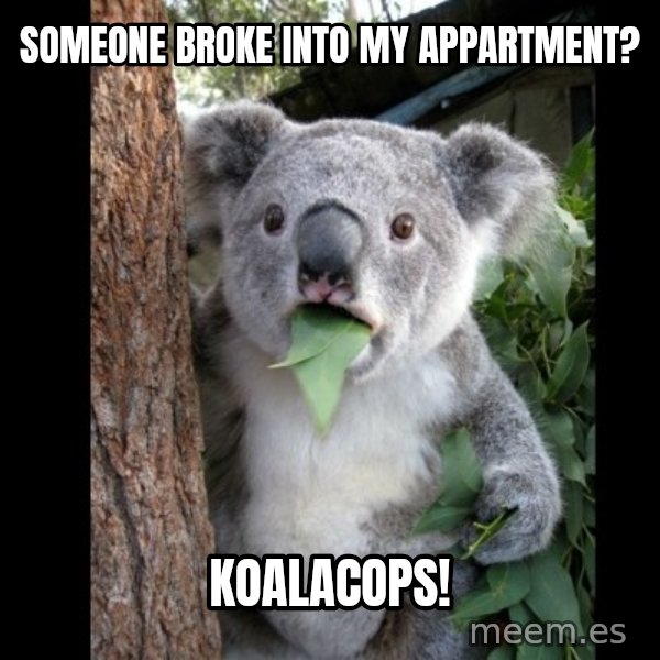 Koala can't believe it meme: Someone broke into my appartment? / Koalacops!