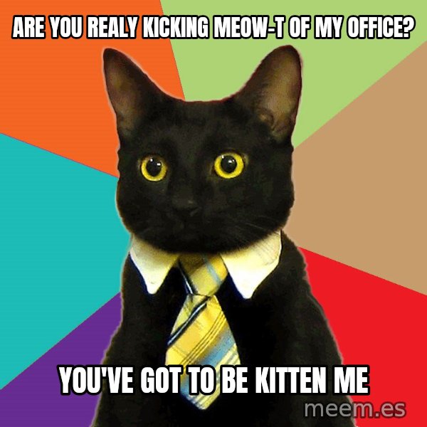 Business Cat meme: Are you realy kicking meow-t of my office? / You've got to be kitten me