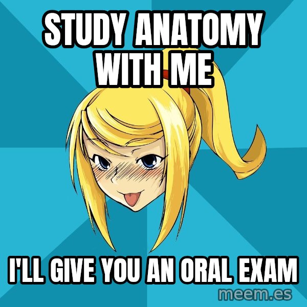 Horney Samus meme: Study anatomy with me / I'll give you an oral exam
