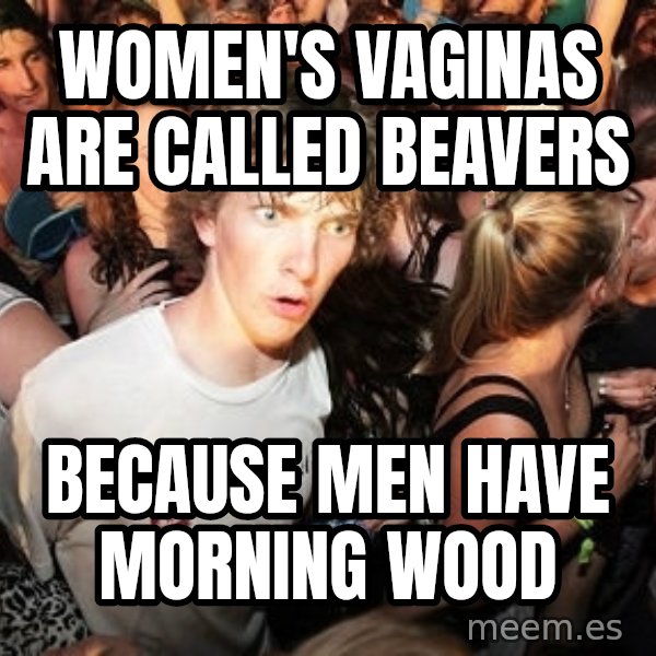 Sudden Realization Ralph meme: women's vaginas are called beavers / because men have morning wood