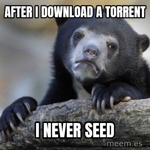 Confession Bear meme: AFter i download a torrent / i never seed