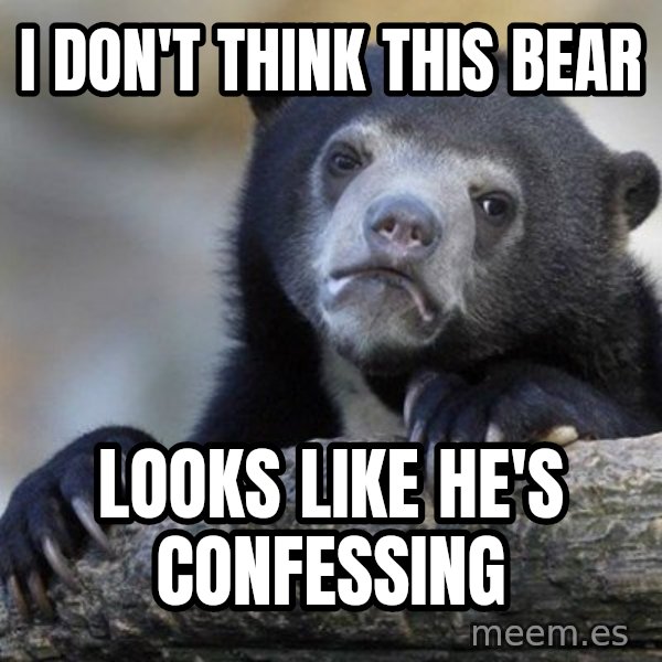 Confession Bear meme: I don't think this bear / looks like he's confessing