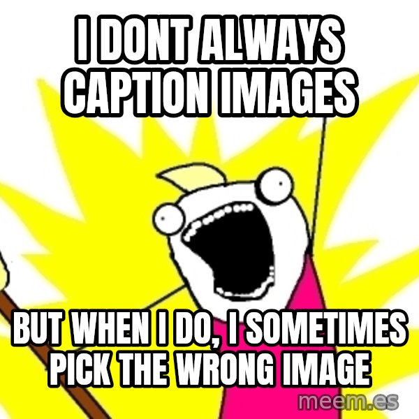 X ALL THE THINGS meme: i dont always caption images / but when i do, i sometimes pick the wrong image
