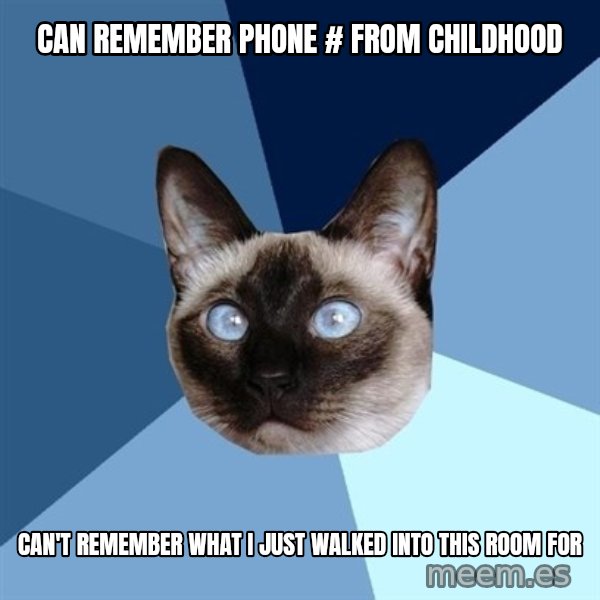 Chronic Illness Cat meme: Can remember Phone # from Childhood / Can't remember what i just walked into this room for
