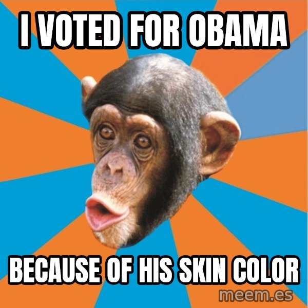 Stupid Monkey meme: I voted for Obama / because of his skin color