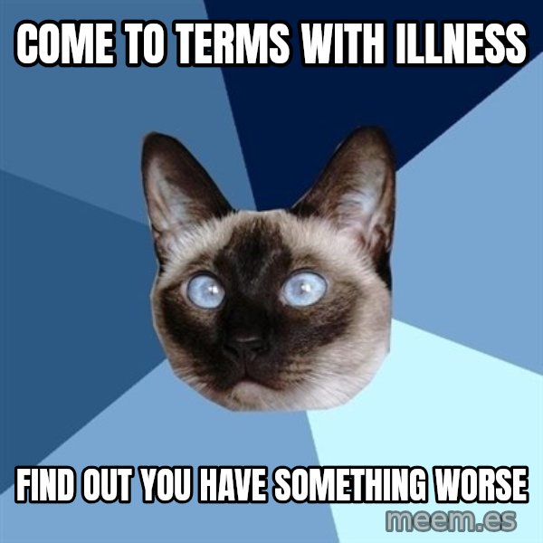 Chronic Illness Cat meme: come to terms with illness / find out you have something worse