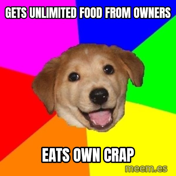 Advice Dog meme: Gets unlimited food from owners / eats own crap