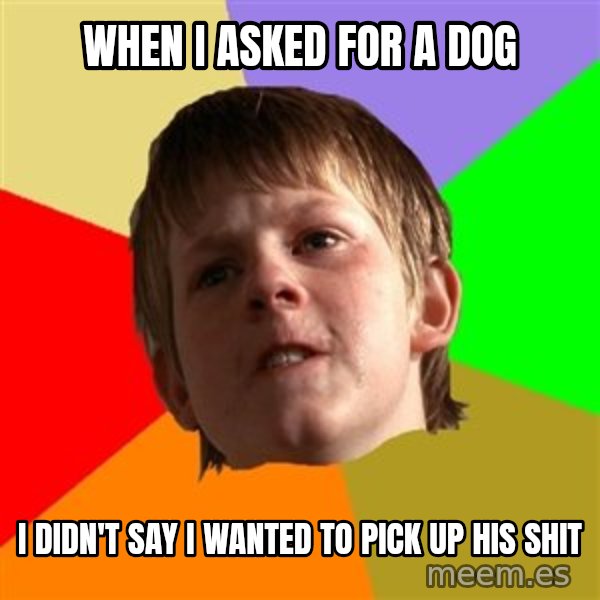 Angry School Boy meme: when i asked for a dog / i didn't say i wanted to pick up his shit