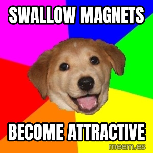 Advice Dog meme: Swallow magnets / Become attractive