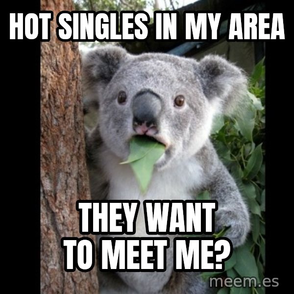 Koala can't believe it meme: Hot singles in my area / they want to meet me?