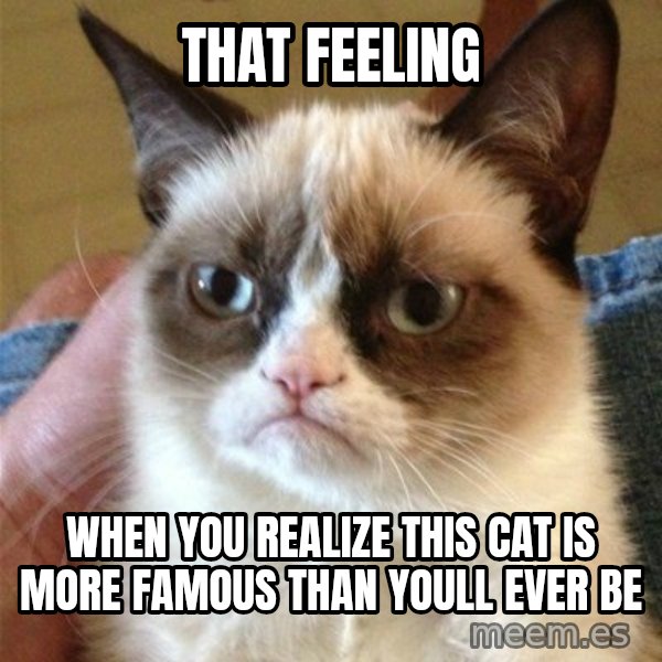Grumpy Cat  meme: that feeling / when you realize this cat is more famous than youll ever be