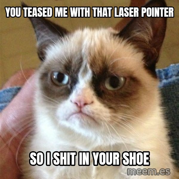Grumpy Cat  meme: you teased me with that laser pointer / so i shit in your shoe