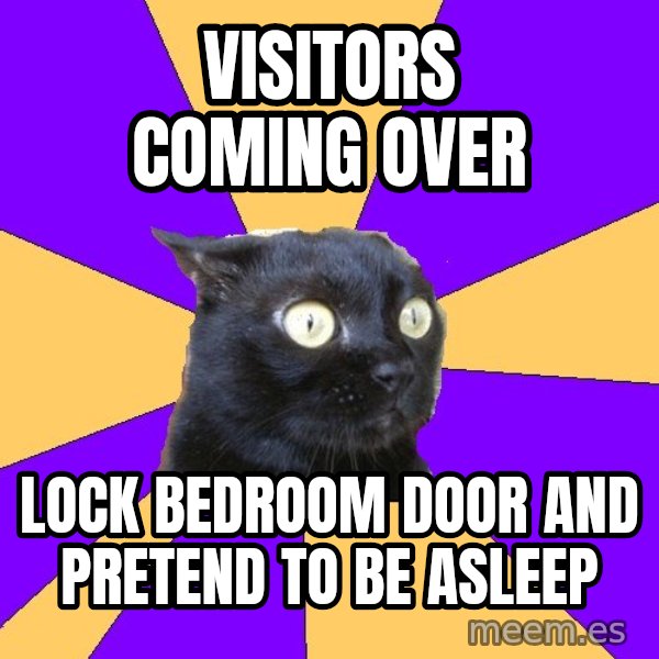 Anxiety Cat meme: Visitors coming over / lock bedroom door and pretend to be asleep