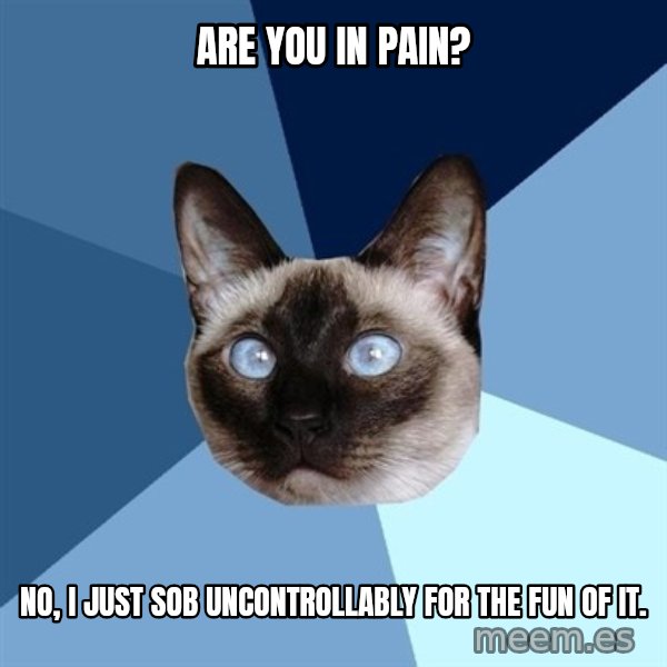 Chronic Illness Cat meme: are you in pain? / no, I just sob uncontrollably for the fun of it.