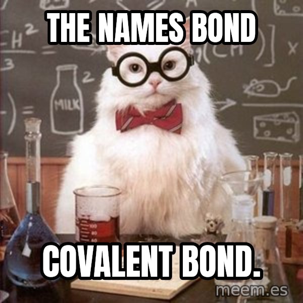 Chemistry Cat meme: The names bond / covalent bond.