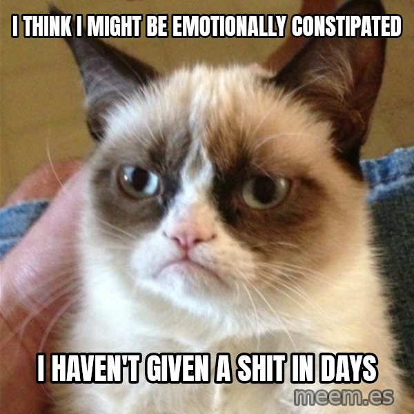 Grumpy Cat  meme: I think i might be emotionally constipated / i haven't given a shit in days