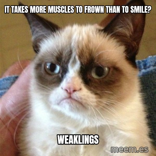 Grumpy Cat  meme: It takes more muscles to frown than to smile? / weaklings