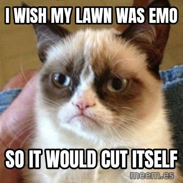 Grumpy Cat  meme: I wish my lawn was emo / so it would cut itself