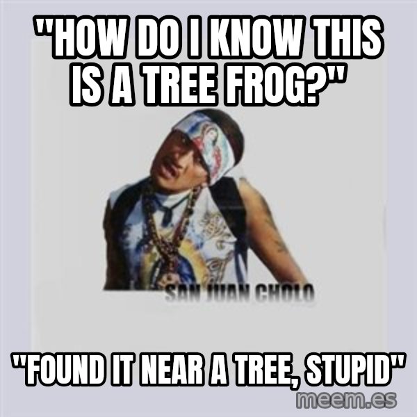 san juan cholo meme: "how do i know this is a tree frog?" / "found it near a tree, stupid"