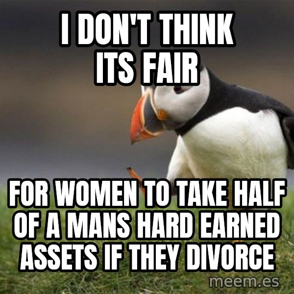 Unpopular Opinion Puffin meme: I don't think its fair / for women to take half of a mans hard earned assets if they divorce