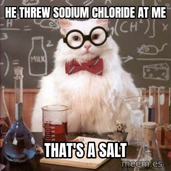 Chemistry Cat meme: he threw sodium chloride at me / that's a salt