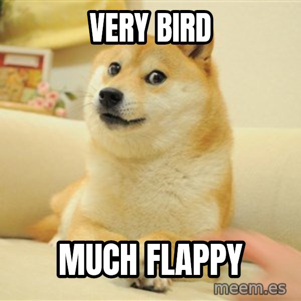 so doge meme: very bird / much flappy