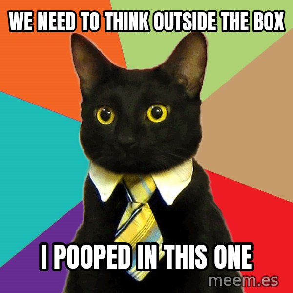 Business Cat meme: WE NEED TO THINK OUTSIDE THE BOX / I POOPED IN THIS ONE