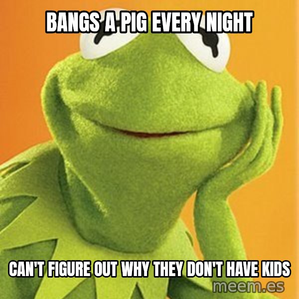 Kermit the frog meme: bangs a pig every night / can't figure out why they don't have kids