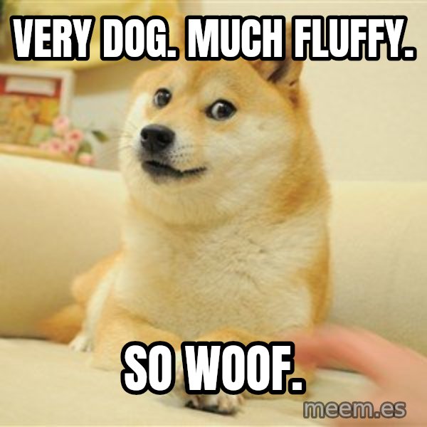 so doge meme: very dog. much fluffy. / so woof.