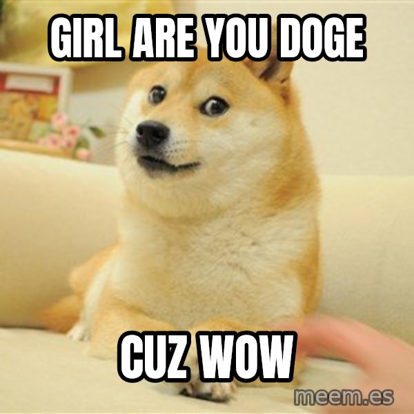so doge meme: girl are you doge / cuz wow