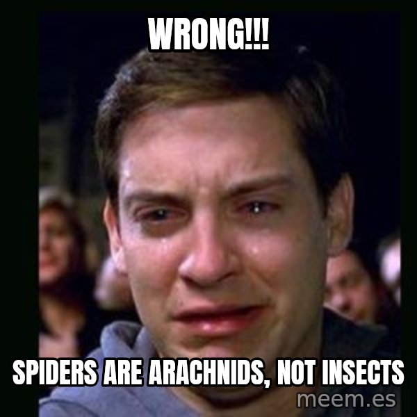 crying peter parker meme: wrong!!! / spiders are arachnids, not insects