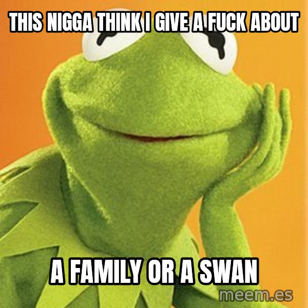 Kermit the frog meme: this nigga think i give a fuck about / a family or a swan