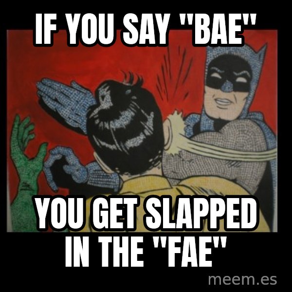 batman slap robin meme: If you say "bae" / you get slapped in the "fae"
