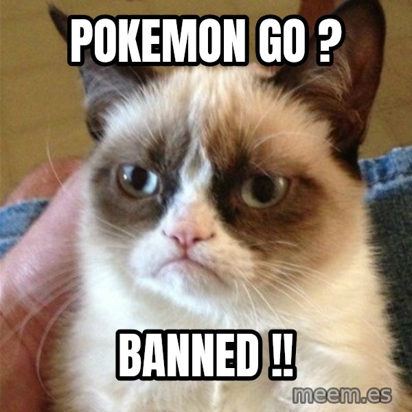Grumpy Cat  meme: POKEMON GO ? / BANNED !!