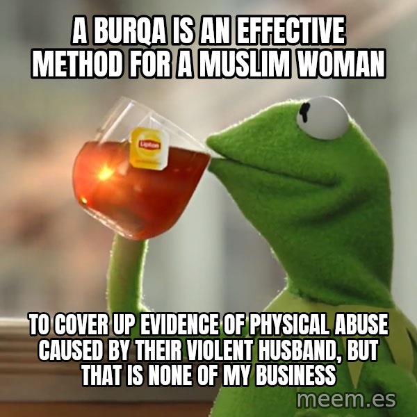 Kermit The Frog Drinking Tea meme: a burqa is an effective method for a muslim woman / to cover up evidence of physical abuse caused by their violent husband, but that is none of my business
