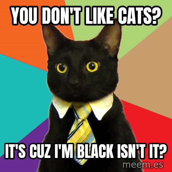 Business Cat meme: you don't like cats? / it's cuz i'm black isn't it?