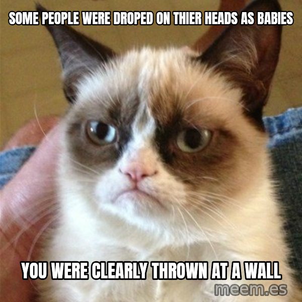 Grumpy Cat  meme: some people were droped on thier heads as babies / you were clearly thrown at a wall