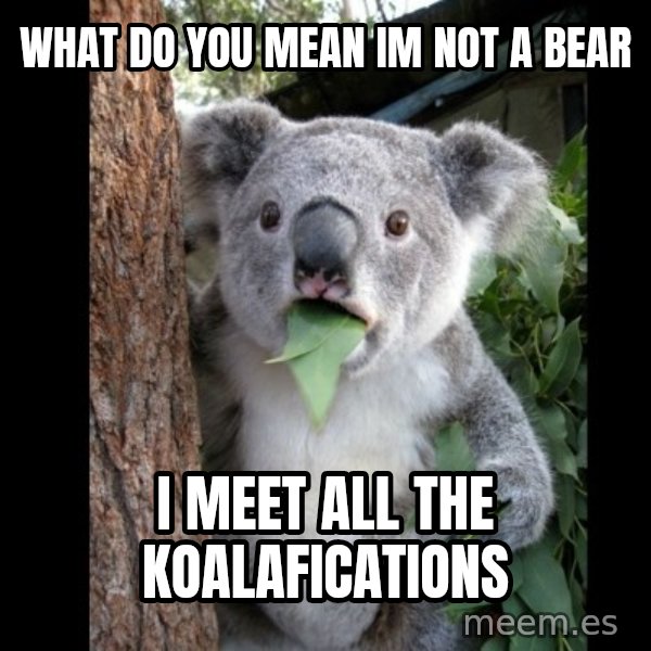 Koala can't believe it meme: what do you mean im not a bear / i meet all the koalafications