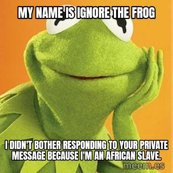 Kermit the frog meme: My name is Ignore the Frog / I didn't bother responding to your private message because                                             I'm an African slave.
