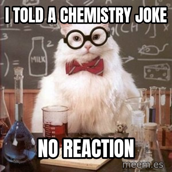 Chemistry Cat meme: I TOLD A CHEMISTRY JOKE / NO REACTION